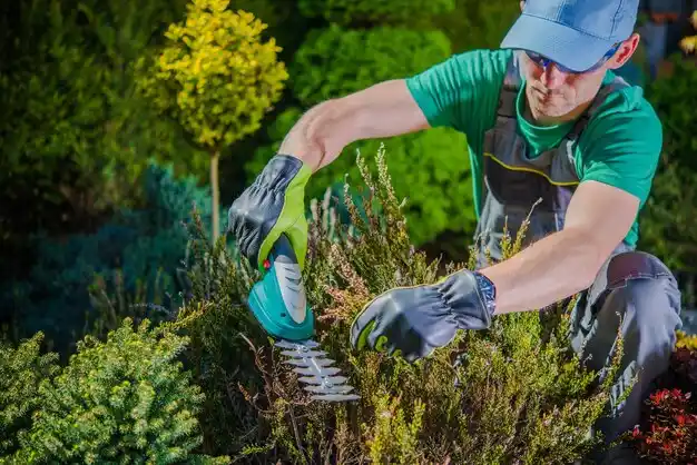 landscaping services Barbourmeade